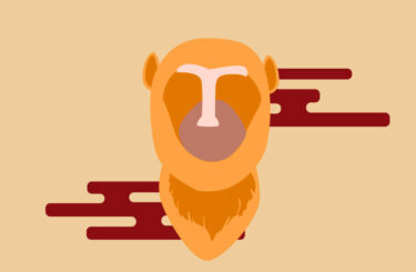 Čínský horoskop 2023 podle Jaroslava Vydržela: Opice by měla investovat do rozvoje a růstu