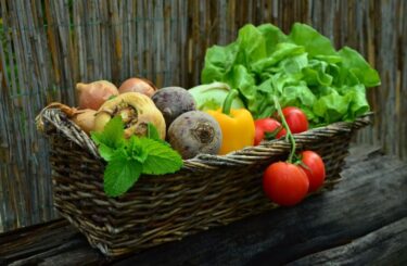 Vypěstujte si bio zeleninu vhodnou pro diabetiky. Přírodní hnojiva vyrobíte zdarma s využitím domácích surovin
