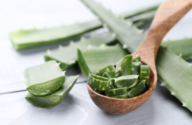 Aloe vera: Rostlina, kterou by měli mít diabetici doma