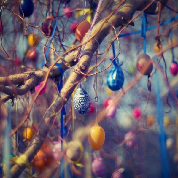 Velikonoční zvyky a tradice: Jak je to s půsty a tradičními pokrmy