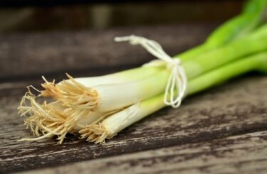 Jarní cibulka: Pikantní zelenina pomůže s cholesterolem, při cukrovce a prospěje i zraku