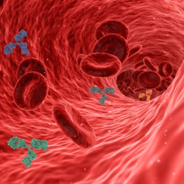 Noční můra diabetiků aneb Co se děje s tělem, které trápí zánět